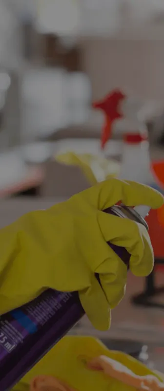 Reliable Residential & Commercial Cleaning in South Bend, IN